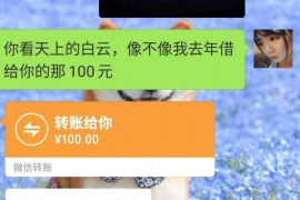 郫县为什么选择专业追讨公司来处理您的债务纠纷？